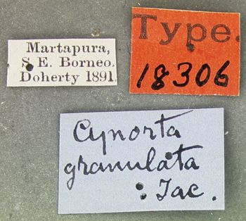 Media type: image; Entomology 18306   Aspect: labels